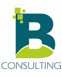  B Consulting 